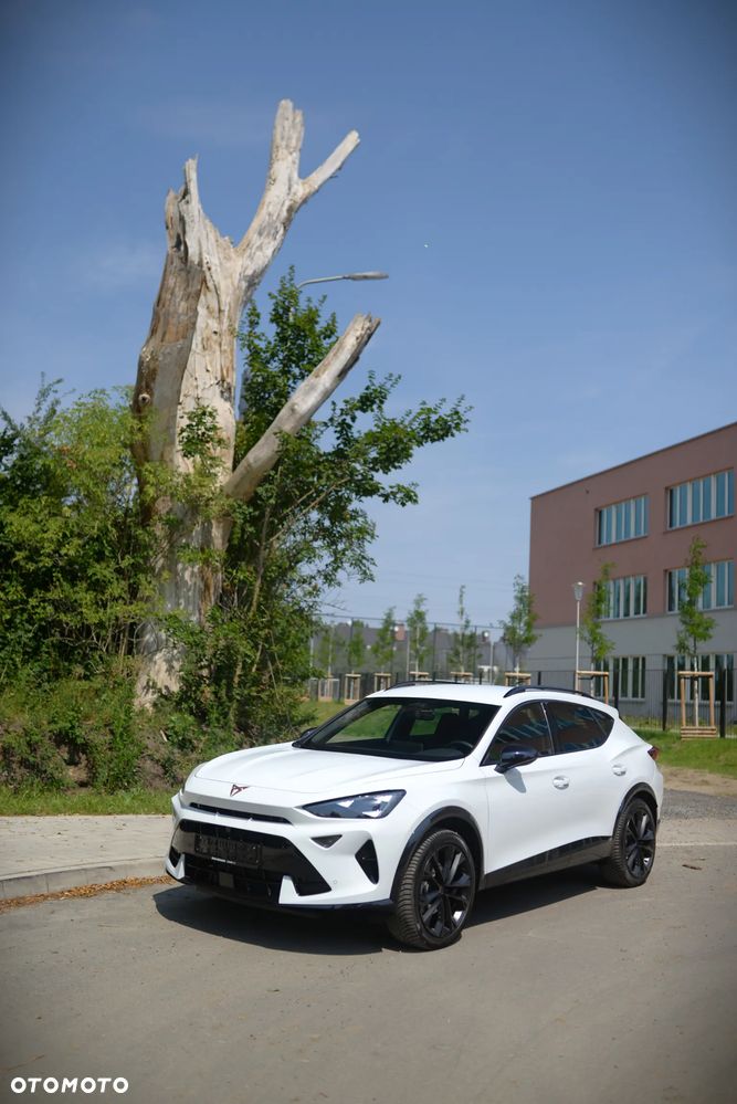 Cupra Formentor 2.0 TSI 4Drive DSG - 30