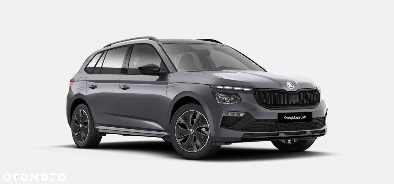 Skoda Kamiq - 2