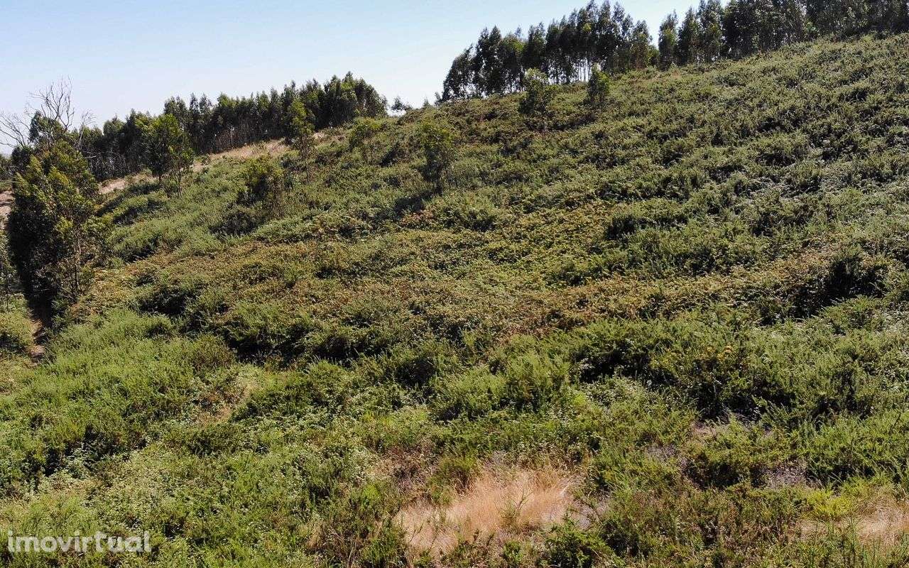 Terreno  para venda - Grande imagem: 2/20