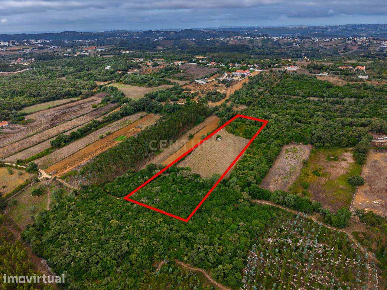 Terreno Rústico com 9.900 m² | Natureza e Tranquilidade | Algar da Fig - Grande imagem: 3/12