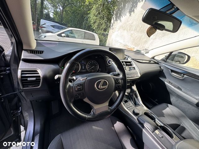 Lexus NX - 18