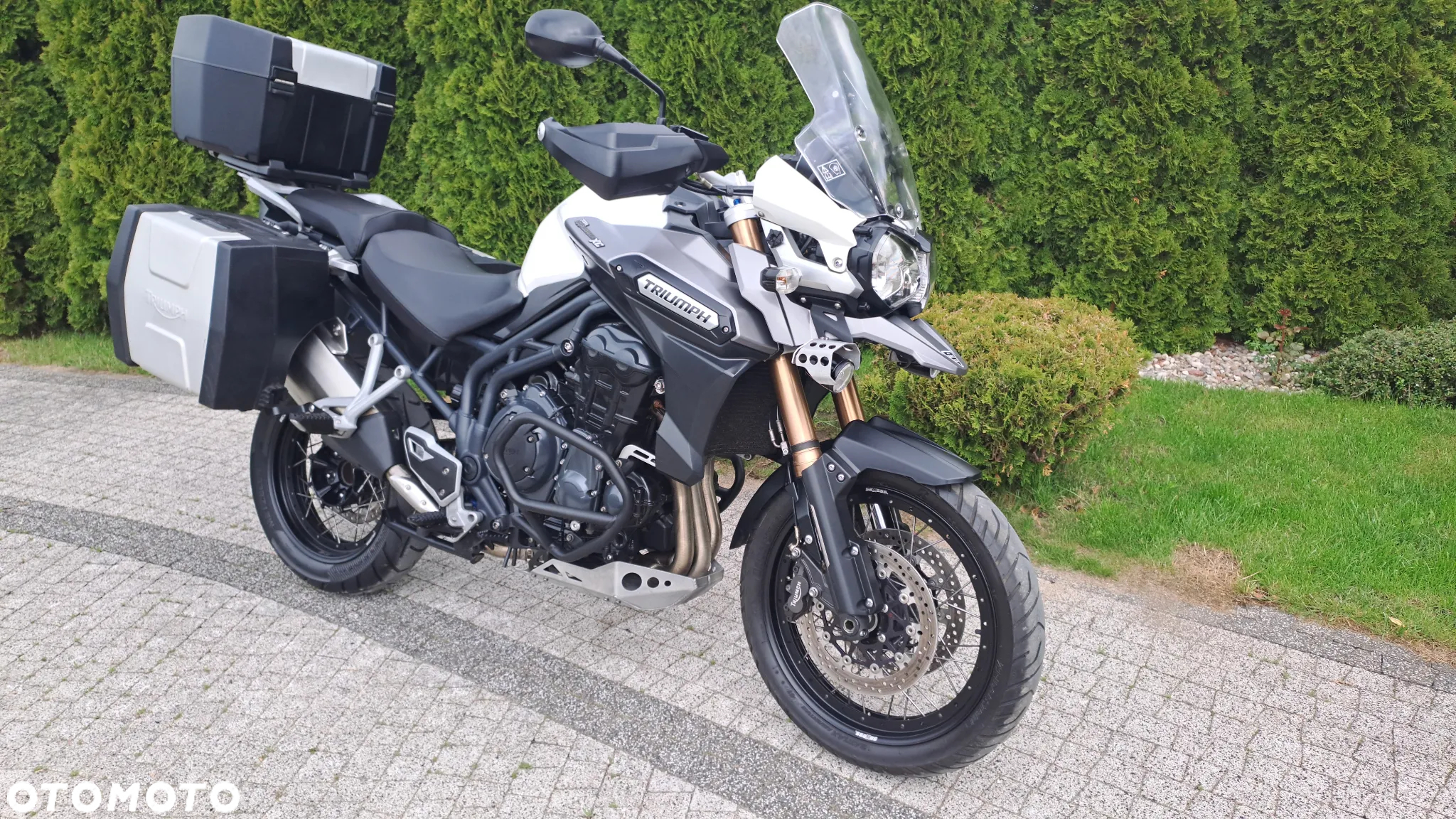 Triumph Tiger - 37