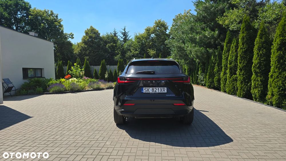 Lexus NX 450h+ Prestige AWD - 19
