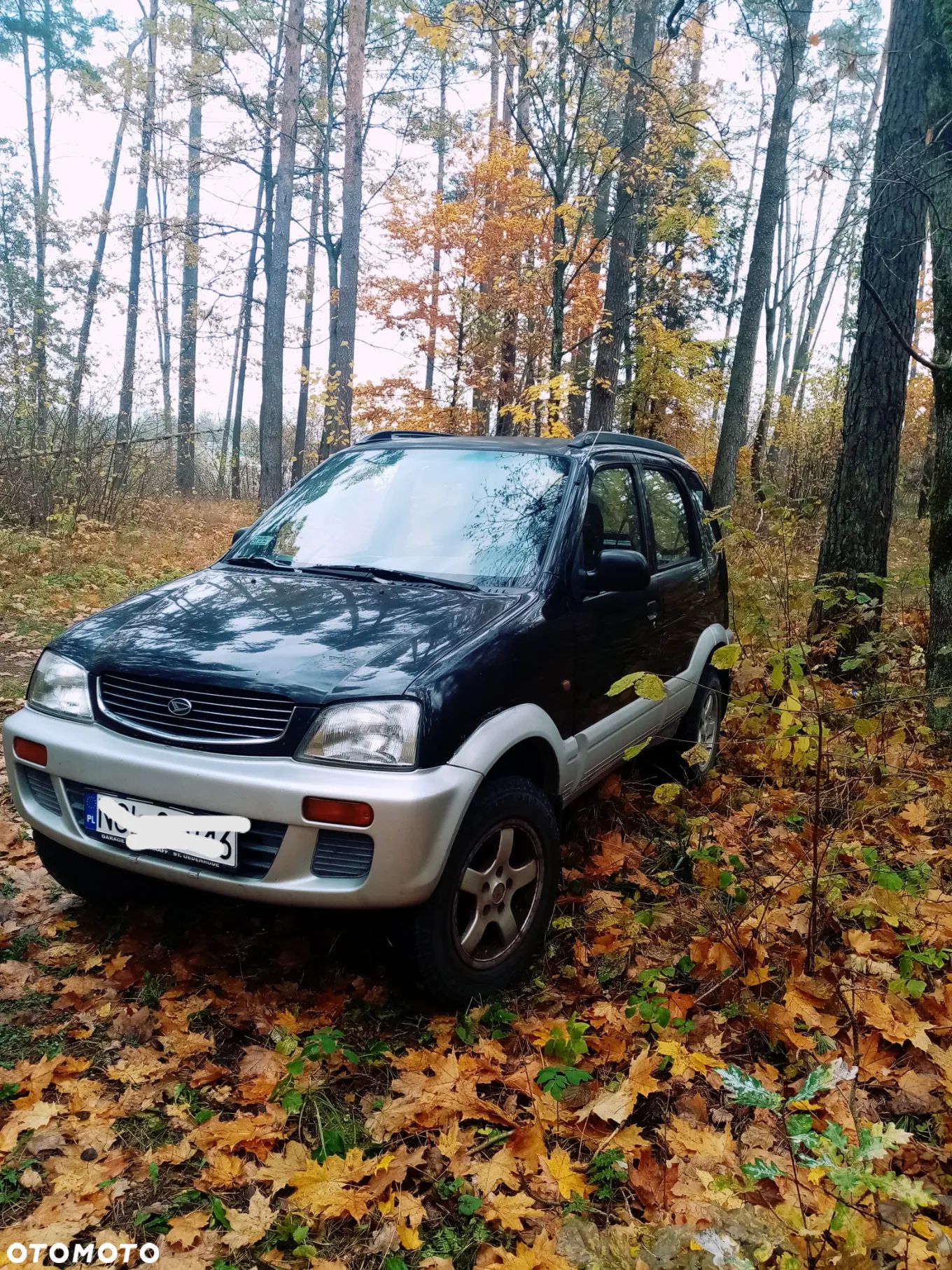 Daihatsu Terios - 1