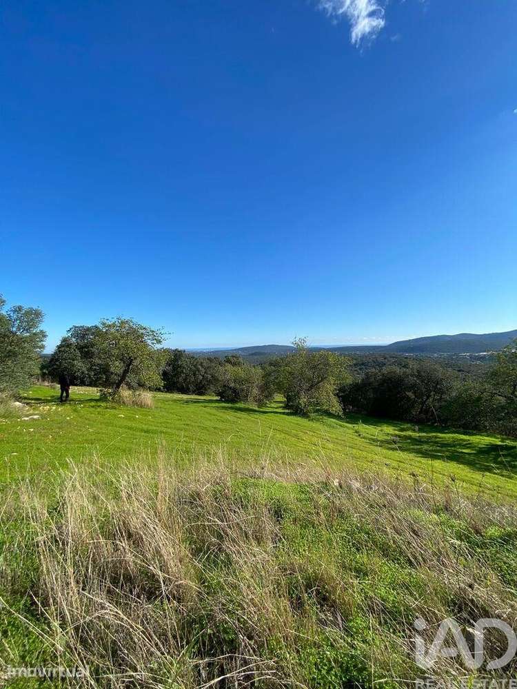 Terreno Agrícola em São Brás de Alportel de 7280,00 m2 - Grande imagem: 5/10