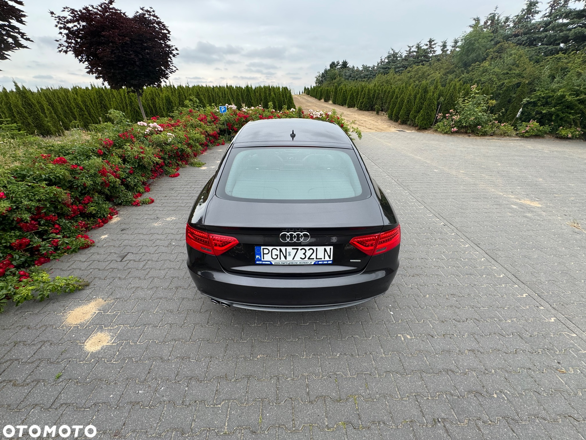 Audi A5 2.0 TDI Sportback quattro DPF S tronic - 5