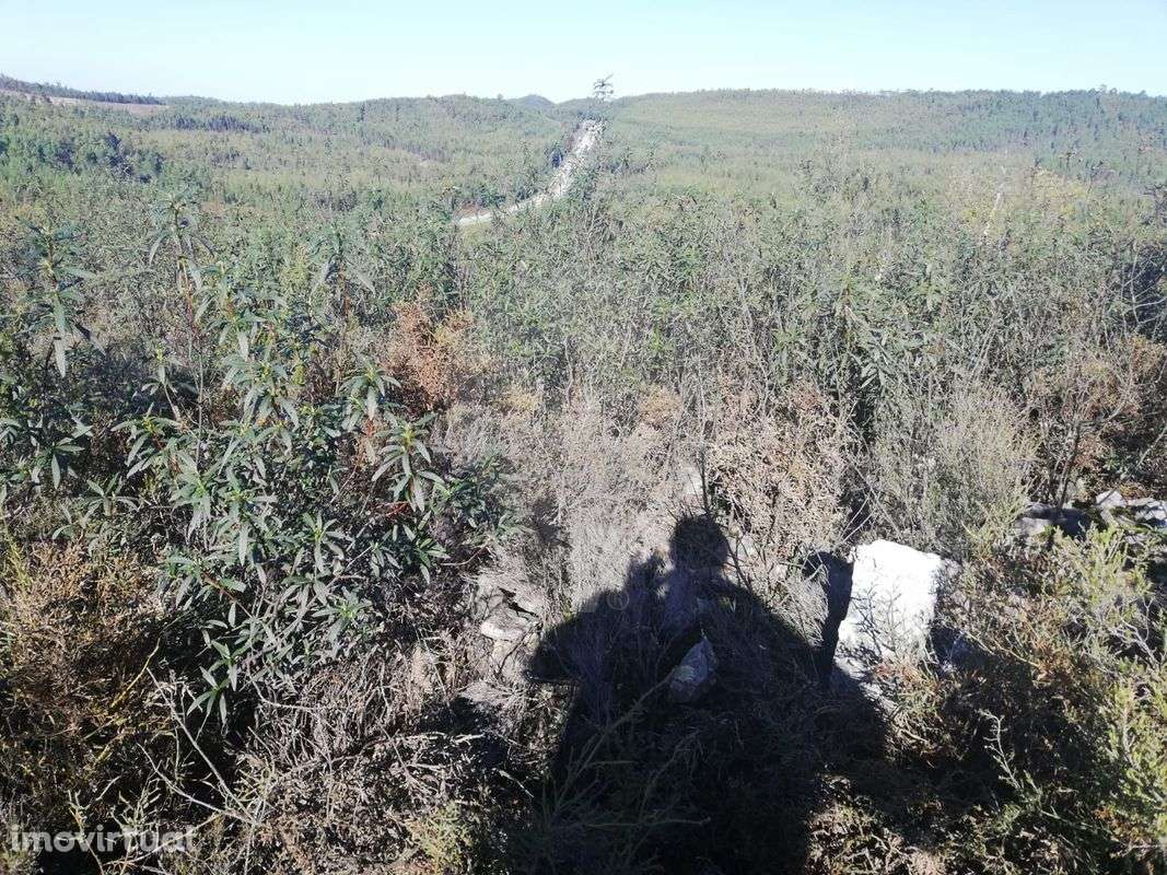 Terreno  para venda - Grande imagem: 5/6