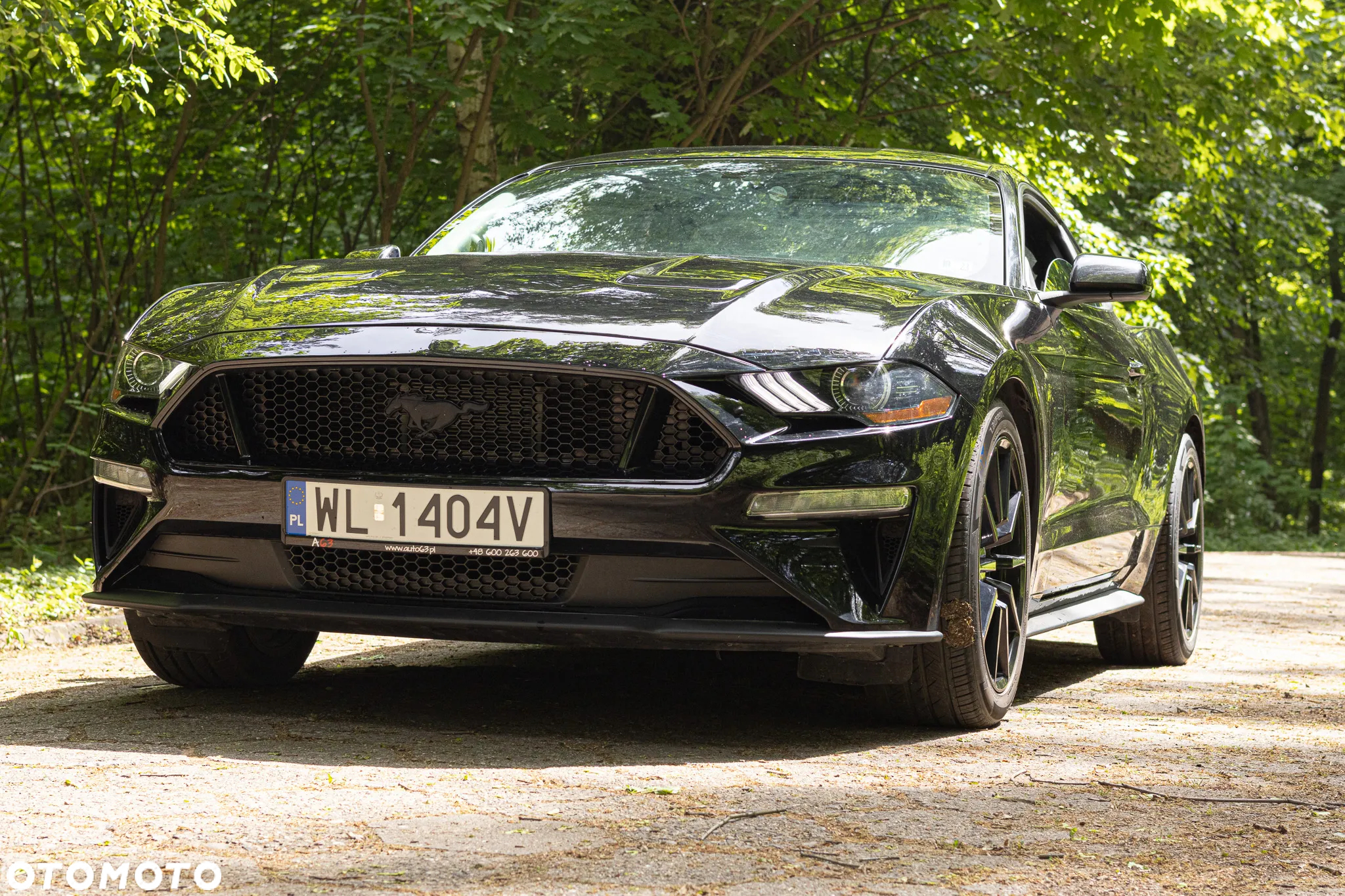 Ford Mustang - 15