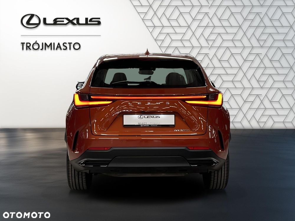 Lexus NX 350h Business AWD - 5