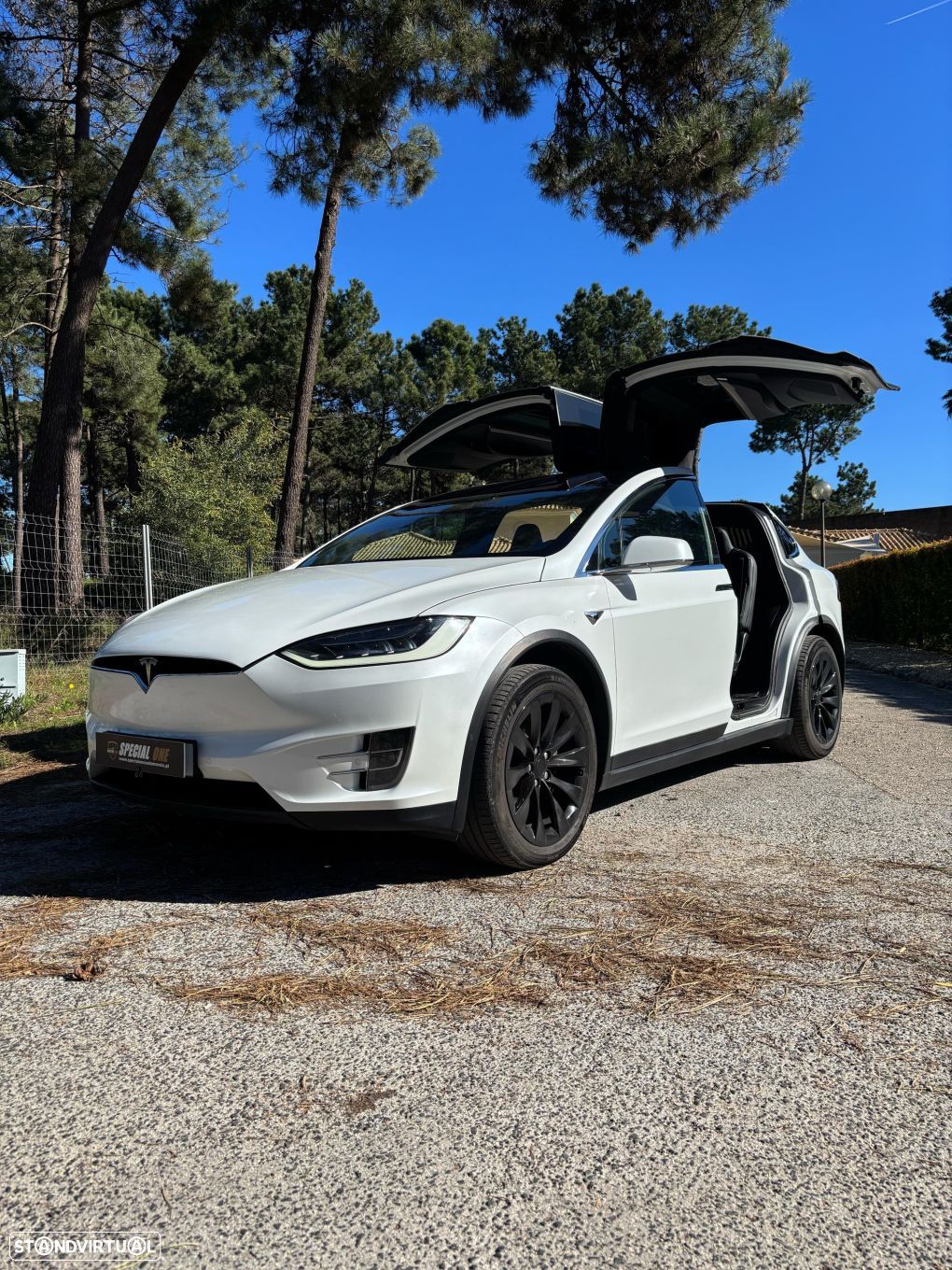 Tesla Model X 100D - 1