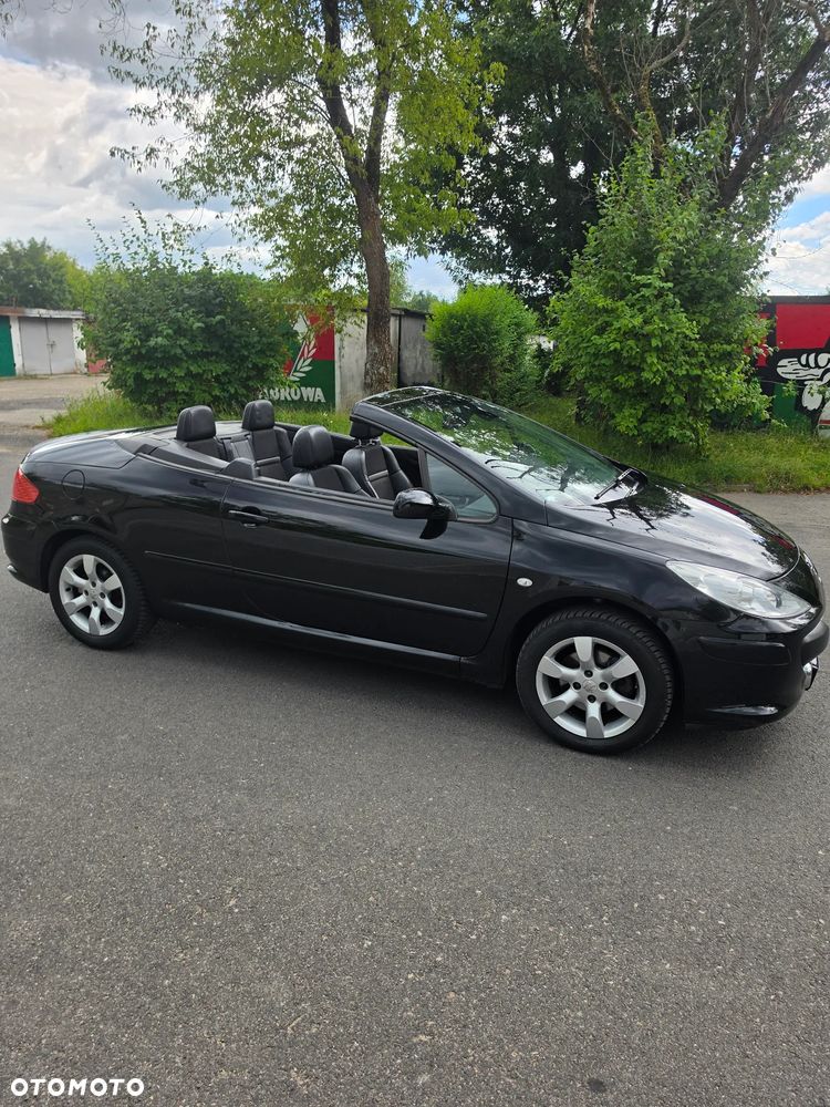 Peugeot 307 CC 140 JBL - 17