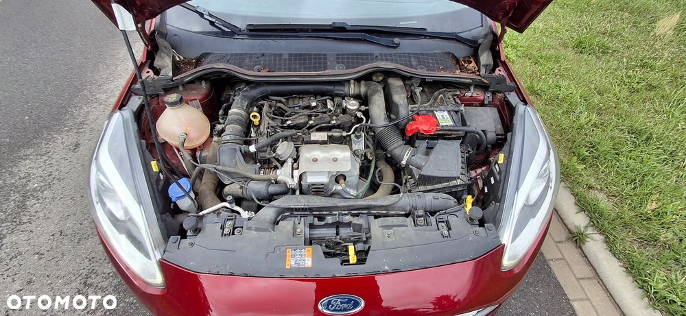 Ford Fiesta - 16