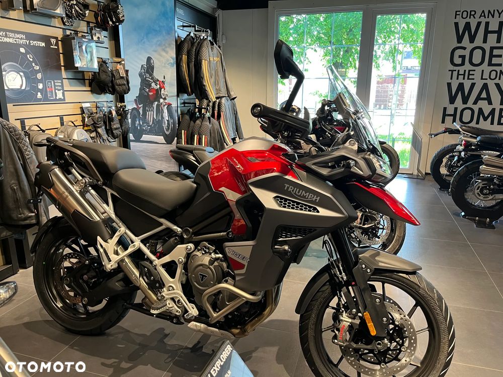 Triumph Tiger - 6