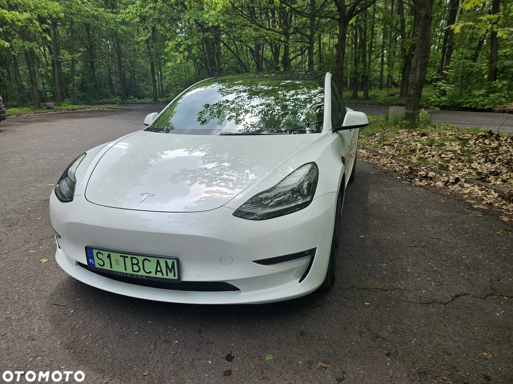 Tesla Model 3 Performance AWD - 9