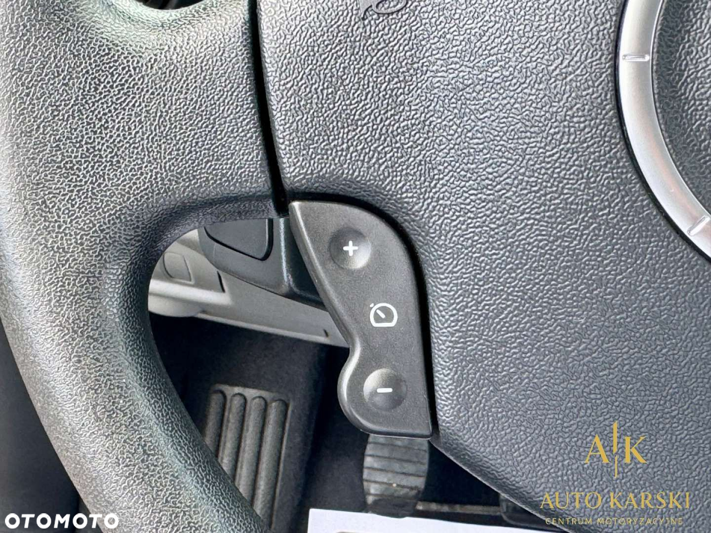 Renault Scenic - 24