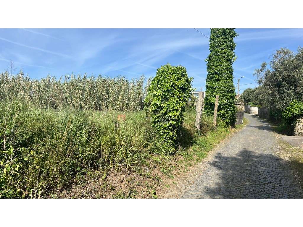 Terreno para construção em Antas, Esposende - Grande imagem: 4/4