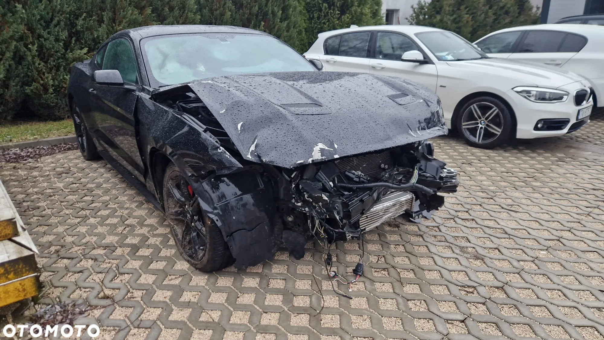 Ford Mustang 2.3 EcoBoost - 5