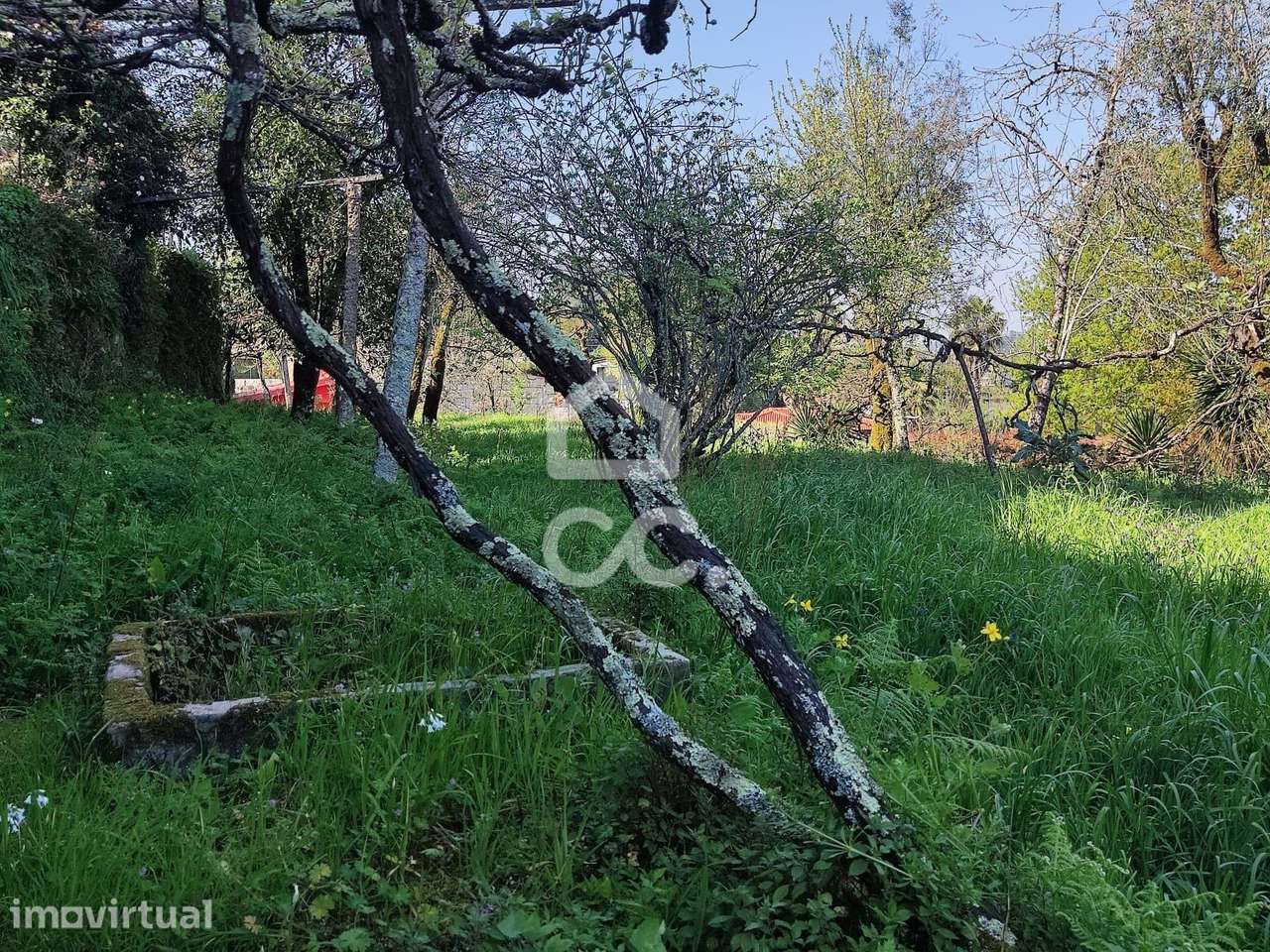 Quinta, Termas de São Vicente, Penafiel - Grande imagem: 5/25