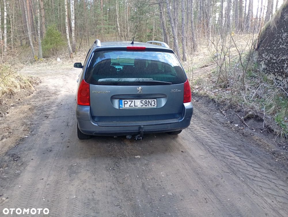 Peugeot 307 1.6 Oxygo - 8