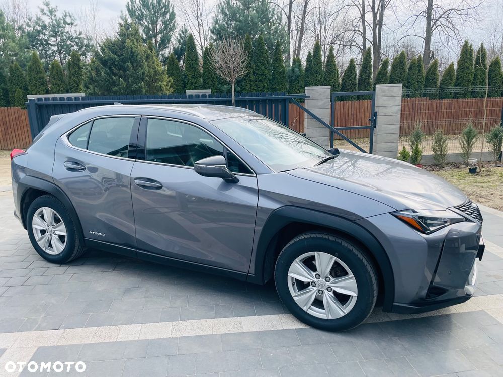 Lexus UX 250h GPF Elegance AWD - 1