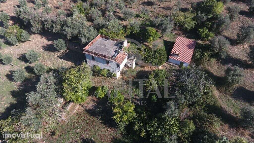 Quinta da Biquinha – O paraíso a duas horas de Lisboa - Grande imagem: 3/23