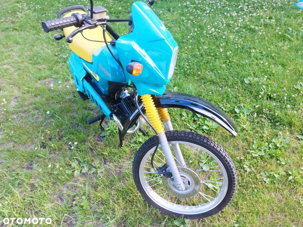Simson Inny - 10