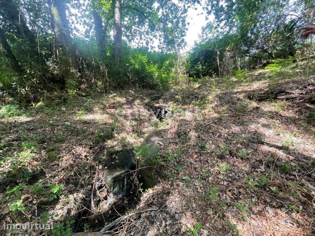 Terreno destinado a construção, localizado em Coutos de Viseu - Grande imagem: 5/22