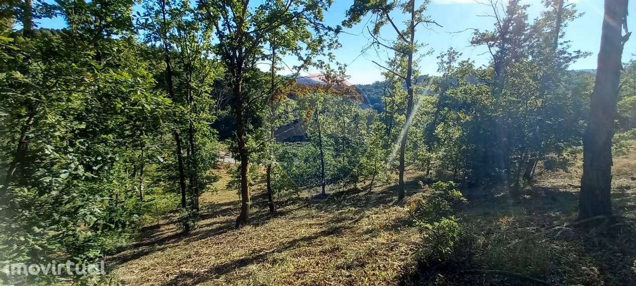 Terreno  para venda - Grande imagem: 3/16