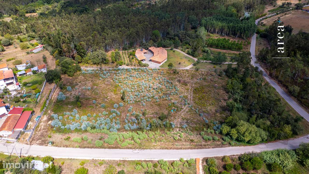 Imóvel Exclusivo | Terreno de Assamassa - Grande imagem: 4/12