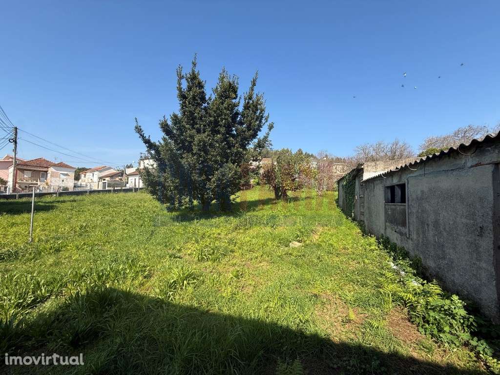 Terreno Beiriz - 41m de Frente - Ideal para Moradias - Grande imagem: 3/25