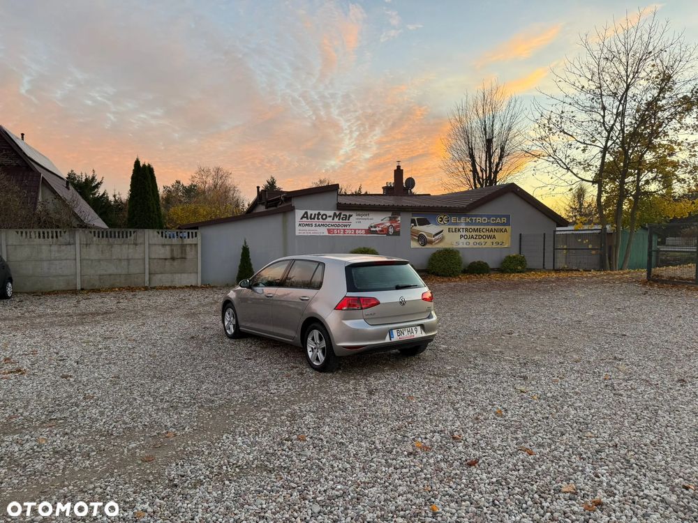 Volkswagen Golf - 25