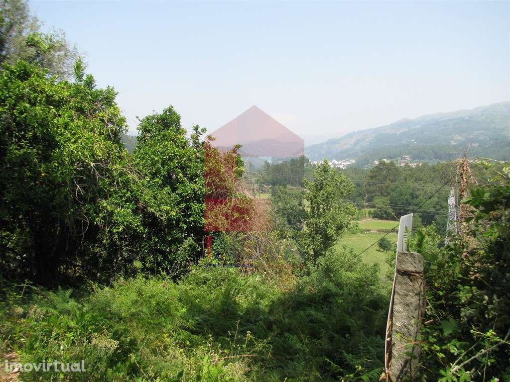 Terreno, Valbom S. Martinho - Grande imagem: 2/4