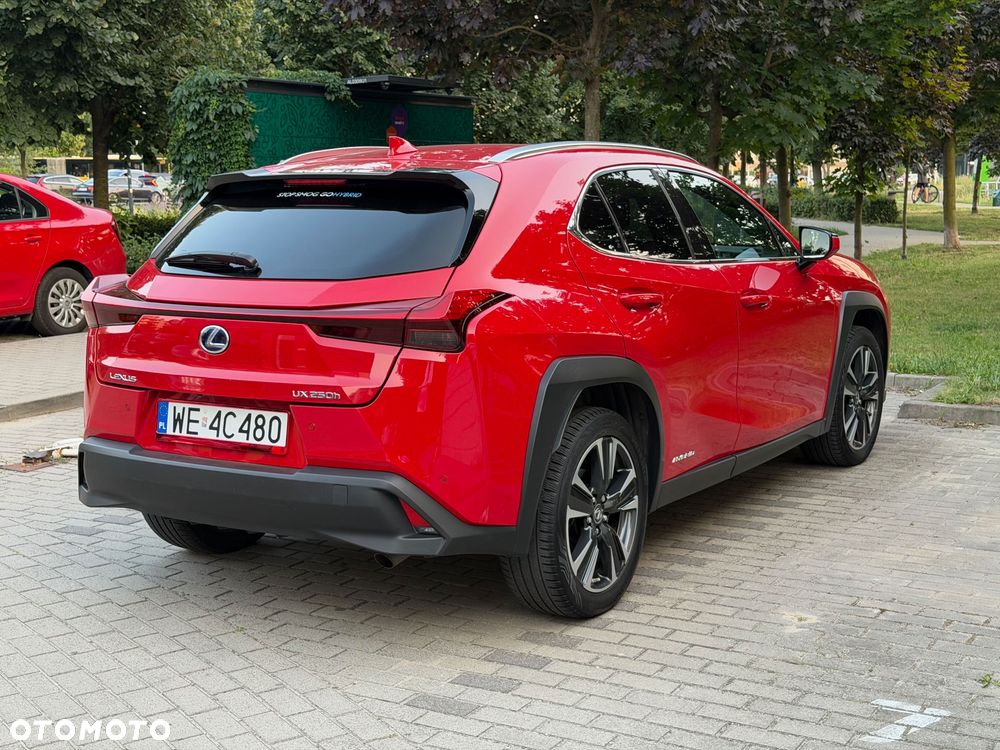 Lexus UX 250h GPF Business Edition 2WD - 12