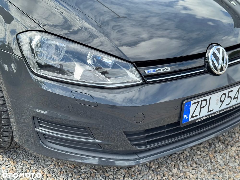 Volkswagen Golf 1.6 TDI 4Motion BlueMotion Technology Allstar - 5
