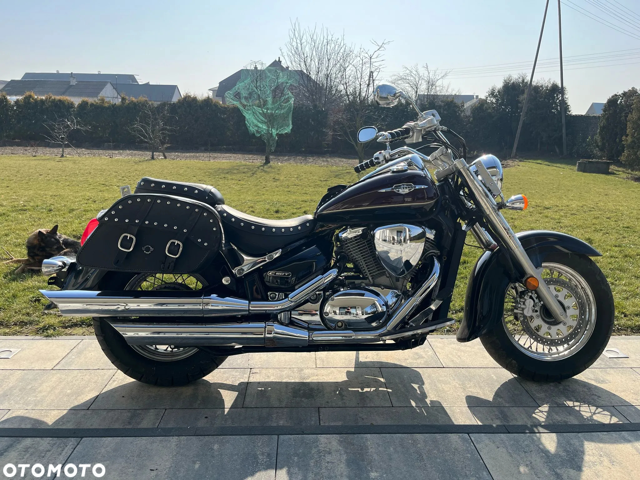 Suzuki VL 800 Volusia - Boulevard C50 - 3