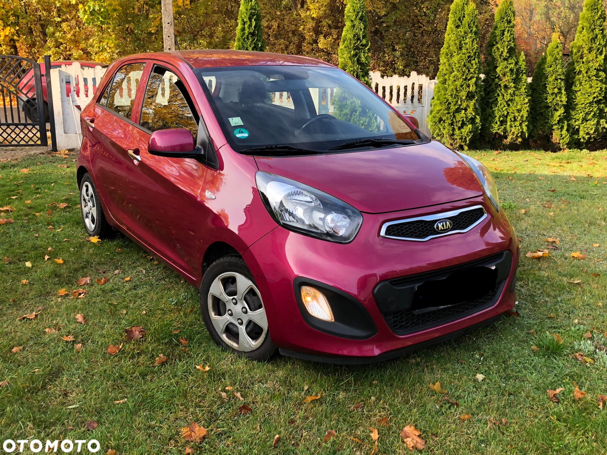 Kia Picanto 1.0 Edition 7 - 2