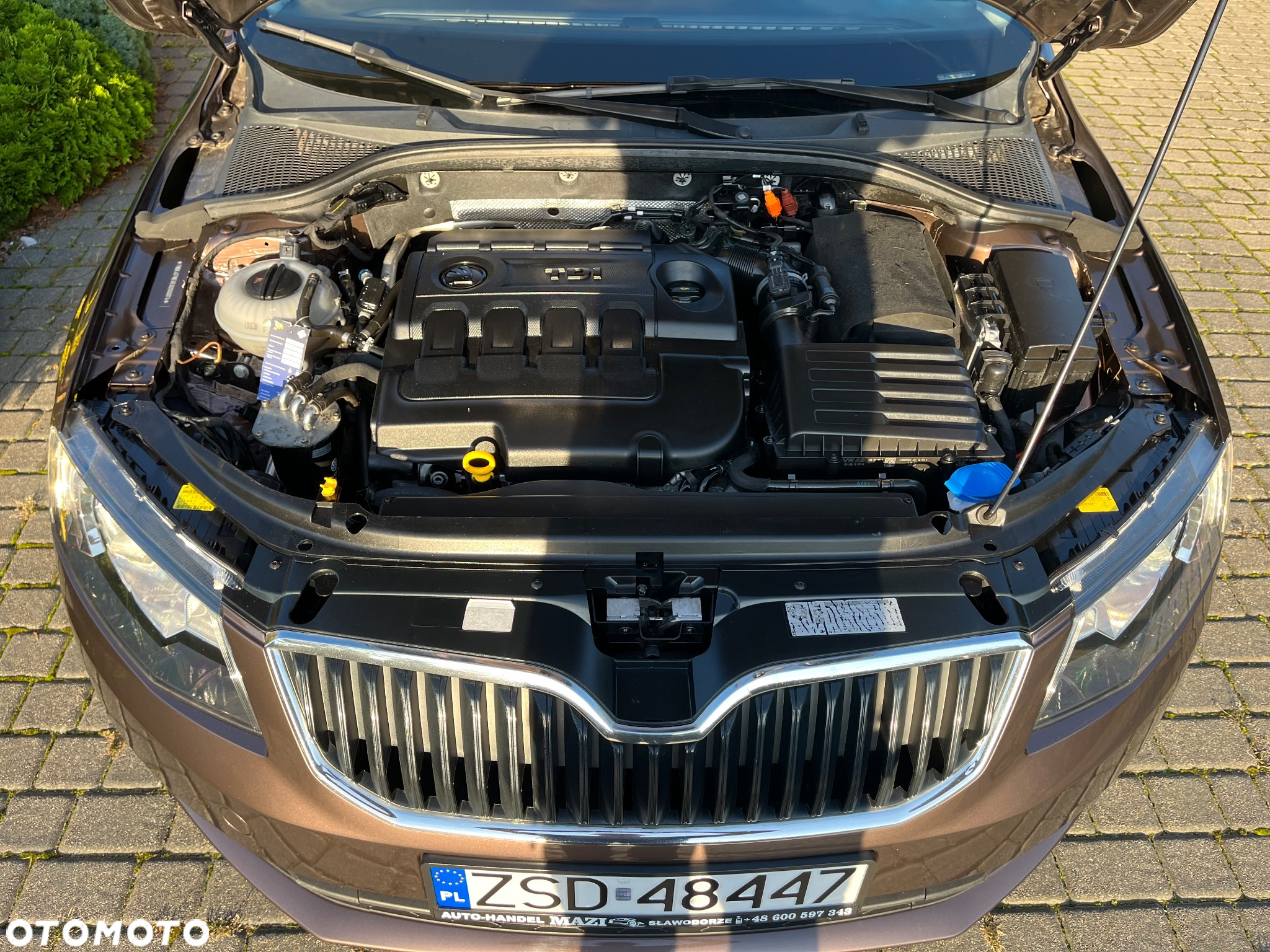 Skoda Octavia 1.6 TDI Classic - 25