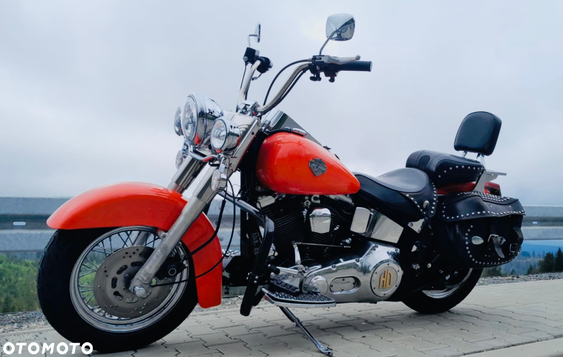 Harley-Davidson Softail Heritage Classic - 6