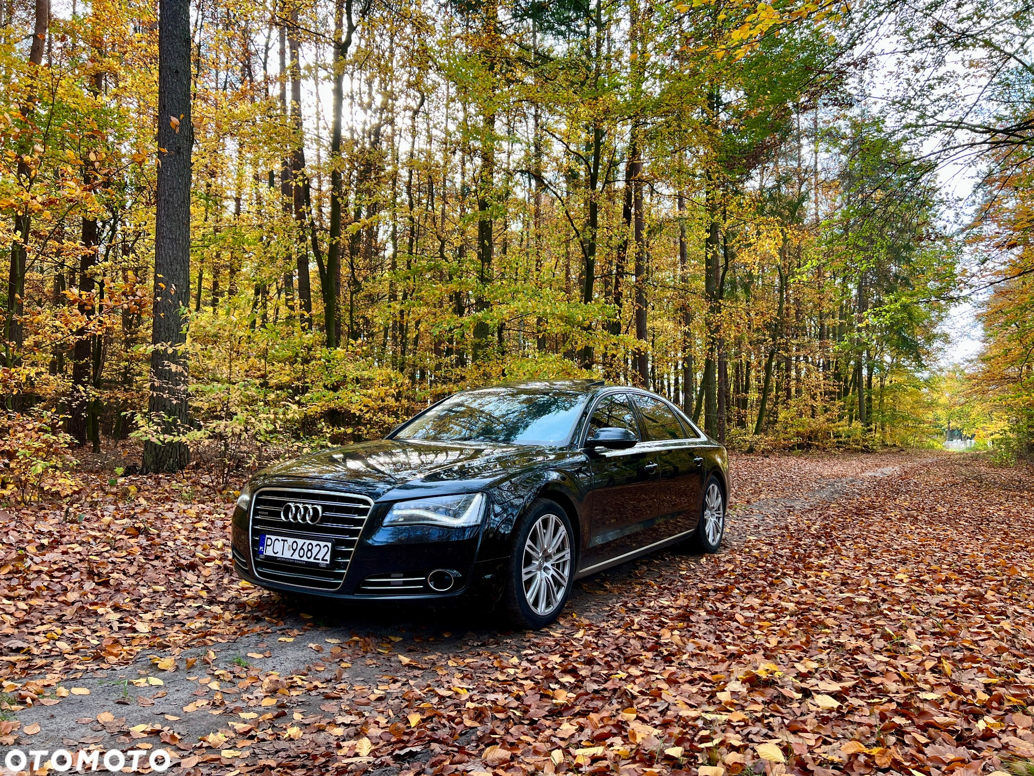 Audi A8 4.2 TDI L Quattro - 4