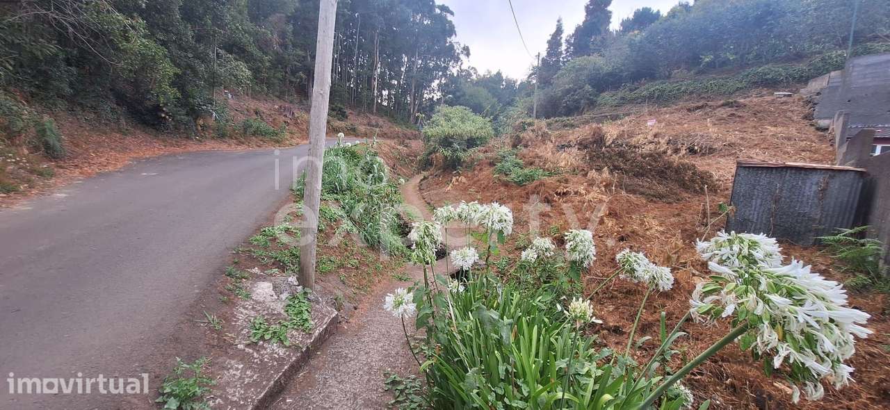 Terreno rústico com 450m² em Gaula, Santa Cruz, Madeira - Grande imagem: 4/9