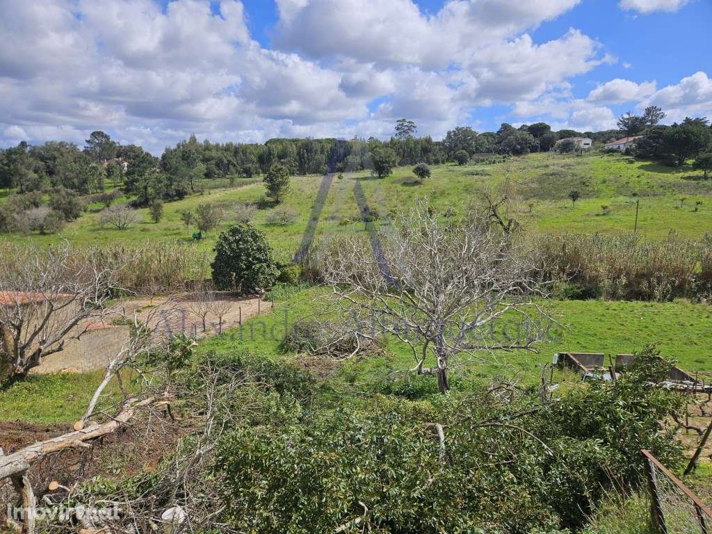 Dois Lotes de Terreno Agrícolas com vista Impar - Grande imagem: 3/5