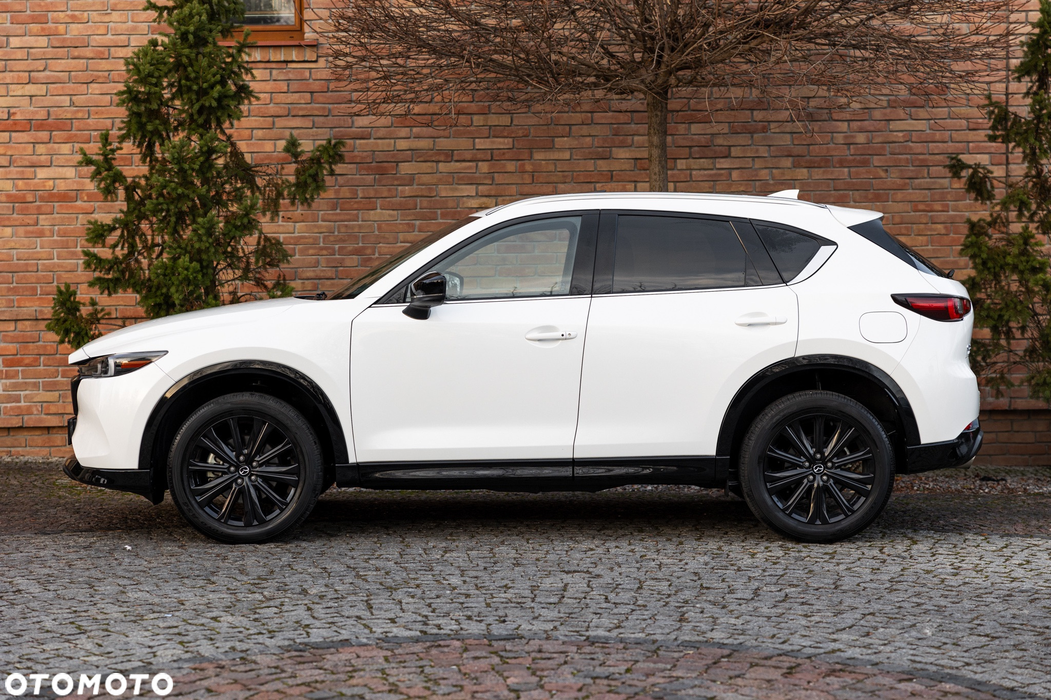 Mazda CX-5 - 8