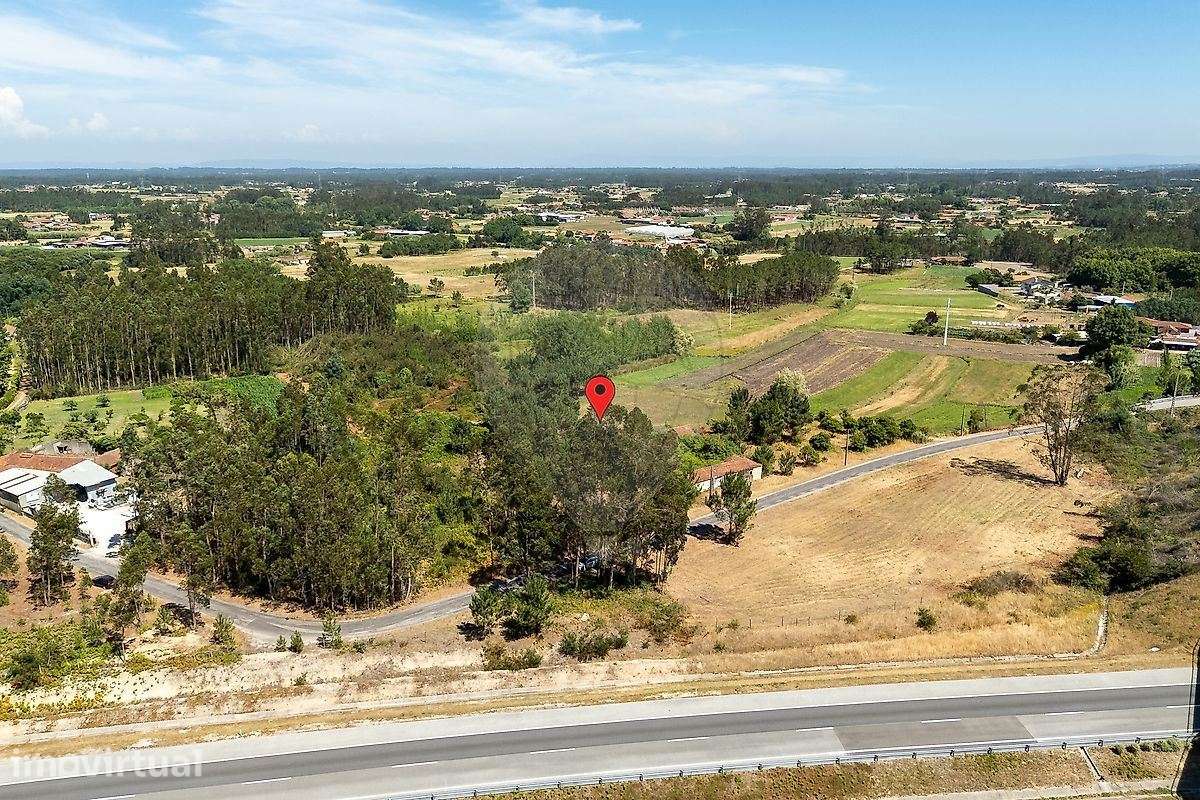 Moradia para Recuperar com 10.430 m² de Terreno | Bizarros, Cantanhede - Grande imagem: 3/26