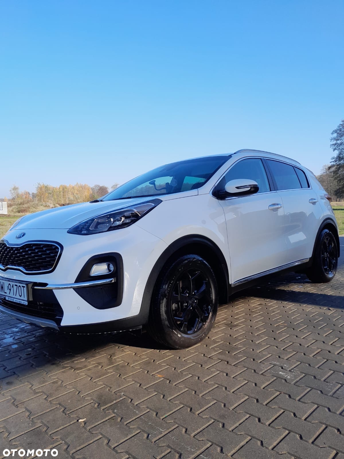 Kia Sportage 1.6 T-GDI L Business Line Plus 2WD DCT - 14