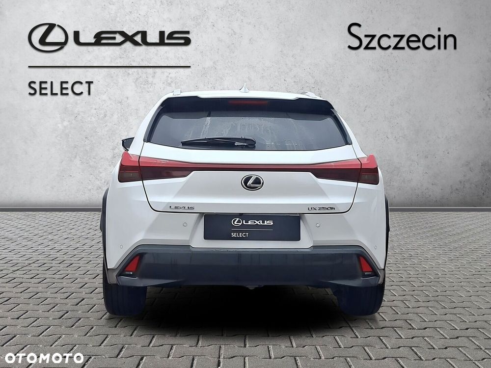 Lexus UX 250h GPF Business 2WD - 4