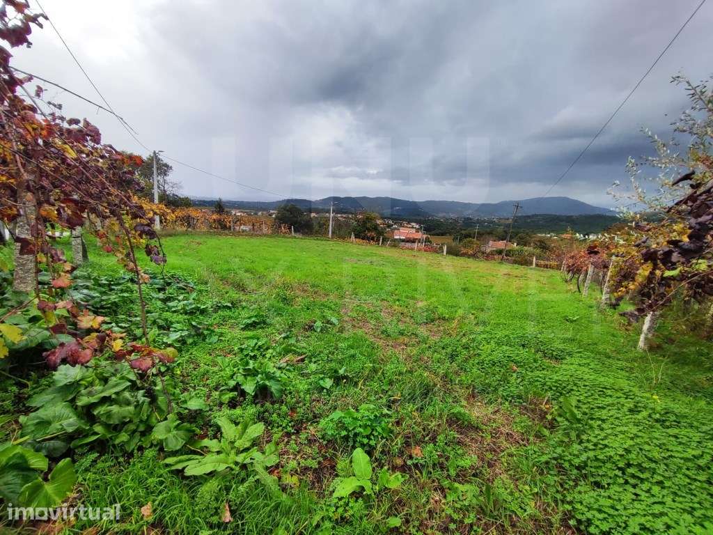 Terreno para Construção - Messegães, Valadares e Sá - Grande imagem: 3/6