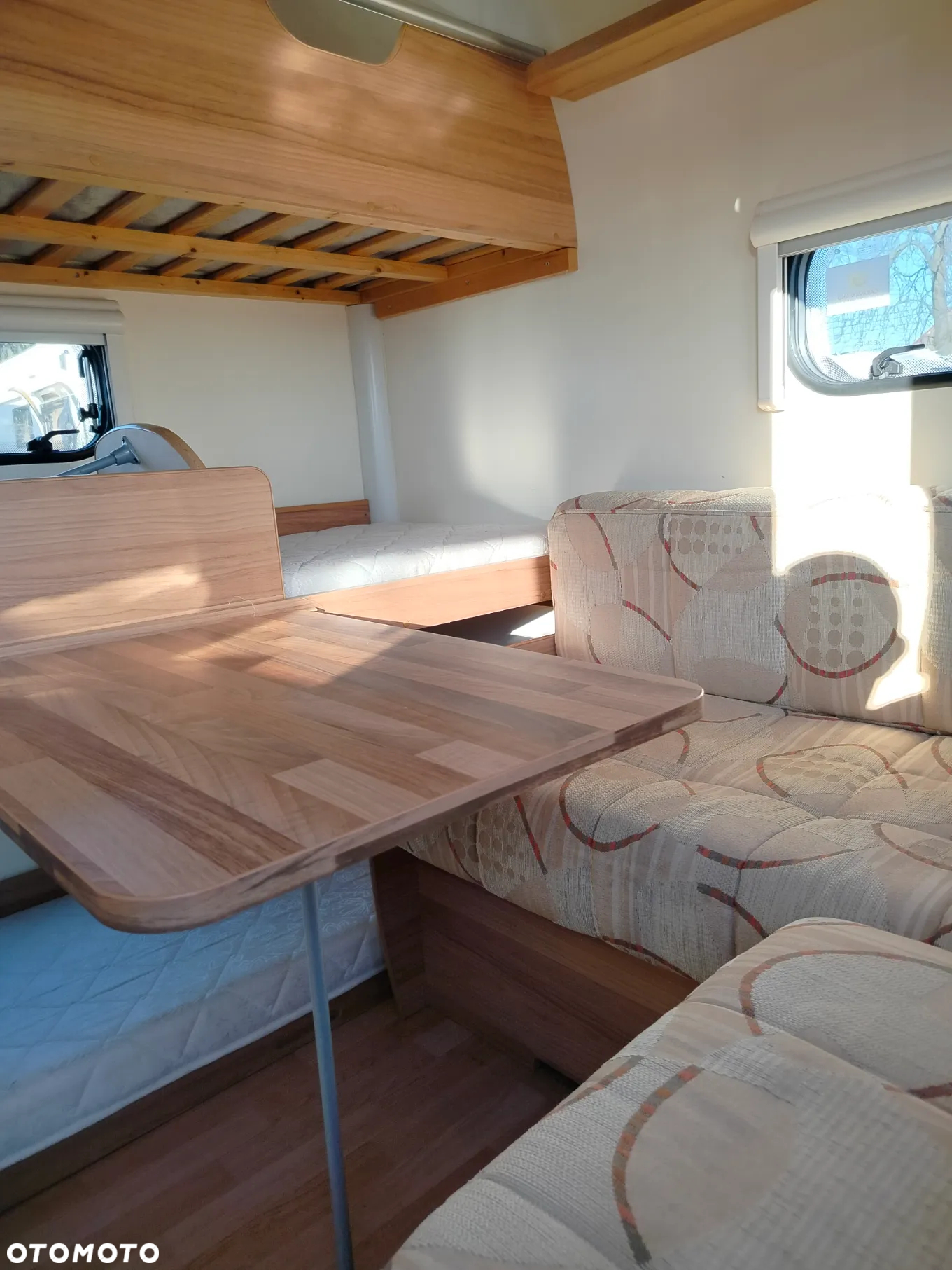 Bailey Orion - 37