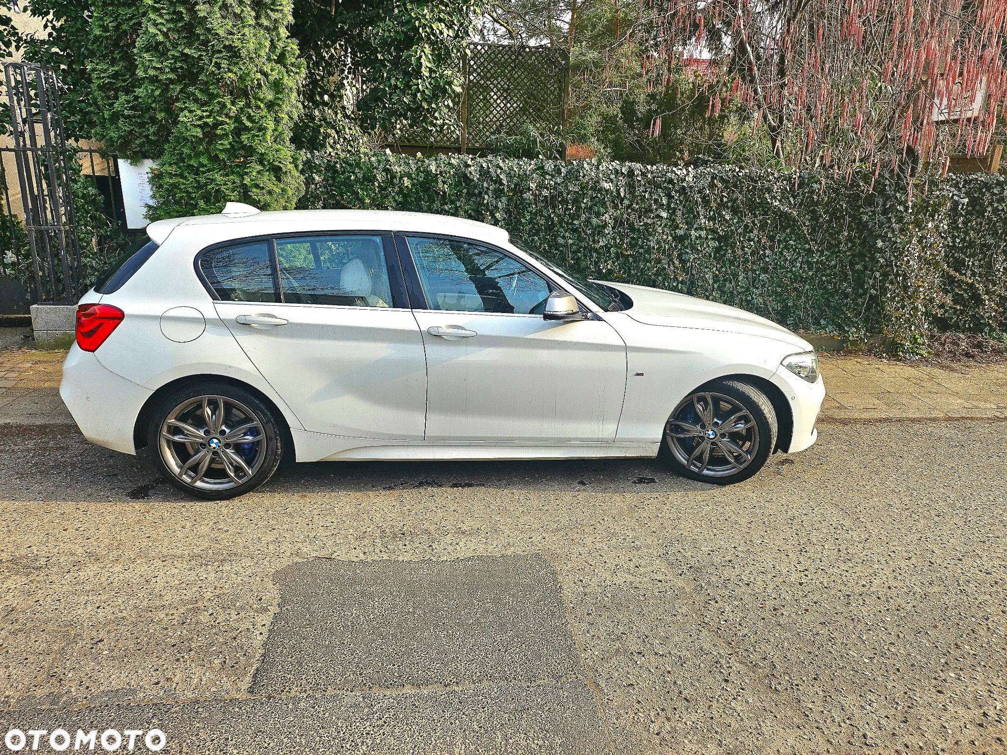 BMW 1M - 5