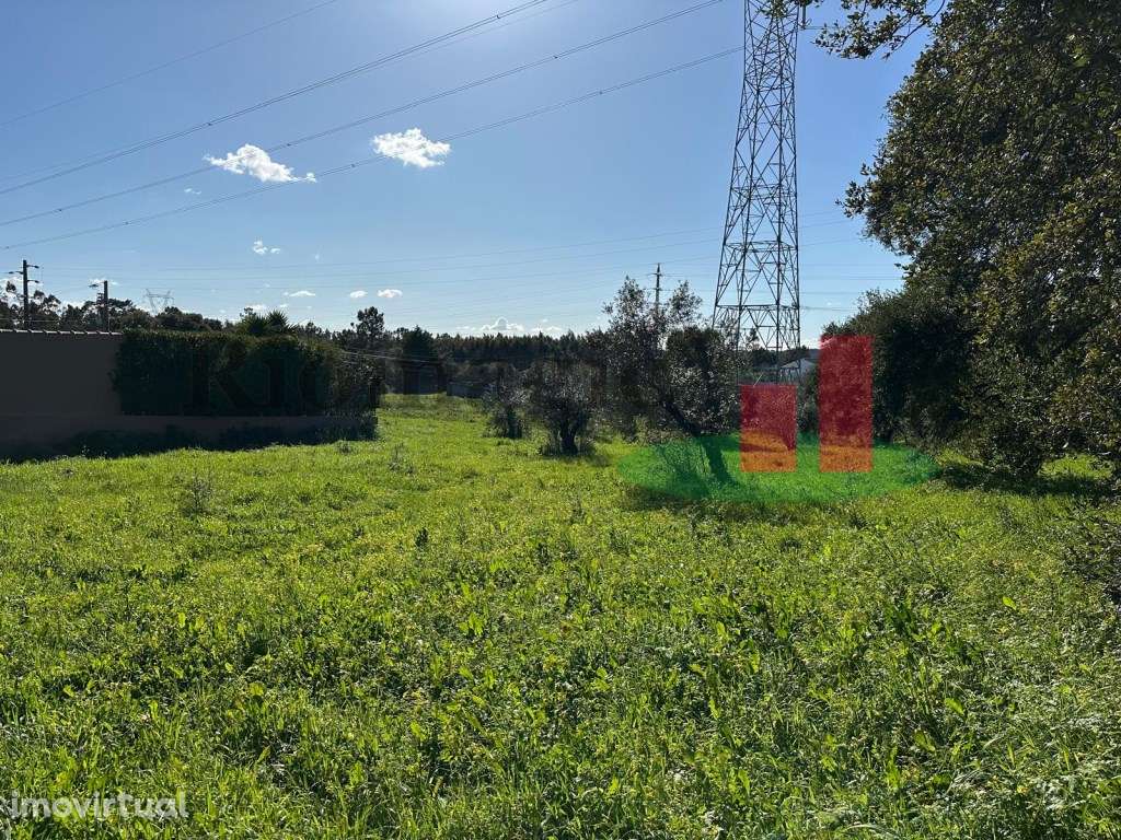 Rio Maior - Terreno com Viabilidade de Construção em Alto da Serra - Grande imagem: 5/13