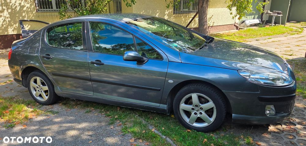 Peugeot 407 - 5